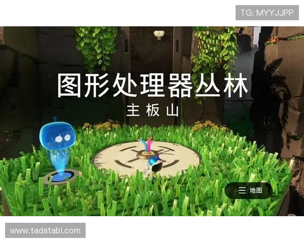 星空官方网站入口详细介绍与使用指南