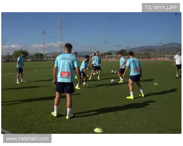 乐动体育论坛：体育赛事直播互动体验与观众反馈分析